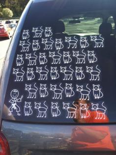 Proudly Crazy Catlady