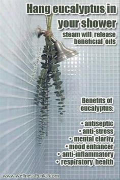 Steam shower idea