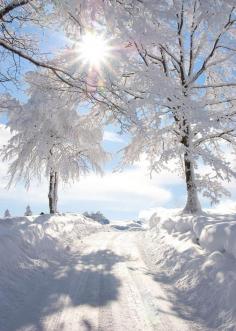 
                    
                        * Winter white wonderful.
                    
                