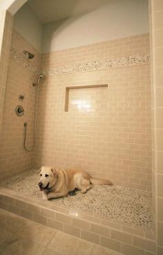 
                    
                        Beautiful built in dog shower. No more muddy paws! ...... Are you serious??? This is really for a dog?!?! This dogs shower is bigger than mine!
                    
                