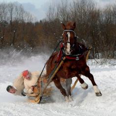
                    
                        Dashing through the snow, in a one horse open sleigh... @Bethany Hintz
                    
                