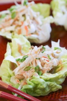 
                    
                        Thai Chicken Lettuce Wraps | foodnfocus.com
                    
                