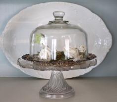 
                    
                        Glass cloche on silver plate tray - shelf decorating from  Vintage American Home.
                    
                