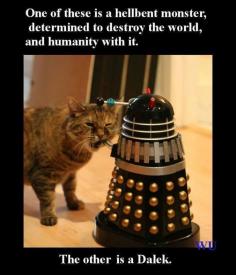 
                    
                        Cat vs Dalek
                    
                