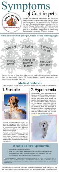 Watch out for signs that your pet is too cold while outside in the snow and cold weather.  These tips can help you keep your pet safe, warm and healthy during the winter | http://petgirl.lemoncoin.org