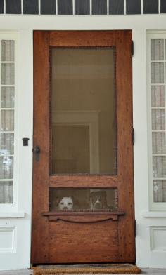 
                    
                        fantastic screen door.
                    
                