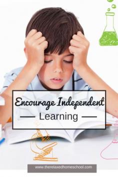 
                    
                        Encourage your children to learn independently! #homeschool
                    
                