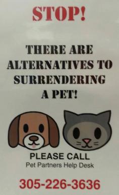 
                    
                        ARE YOU LOOKING INTO SURRENDERING YOUR PET INTO MIAMI DADE ANIMAL SERVICES IN #FLORIDA? IF SO PLEASE REMEMBER, YOU HAVE OTHER OPTIONS. PLEASE CALL THIS HELP LINE AND THE VOLUNTEERS WILL TRY TO ASSIST YOU BY PROVIDING OTHER ALTERNATIVES FOR YOU. THIS IS HELP SAVE YOUR PETS LIFE AND PROVIDE HIM OR HER WITH A SECOND CHANCE. This line is provided by PetPartners Rescue in Miami, Fl (Bernie Alfonso)
                    
                