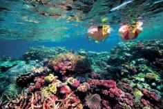 
                    
                        Snorkel the Great Barrier Reef. | 15 Things You Can Do In Australia That You Can’t Do Anywhere Else
                    
                