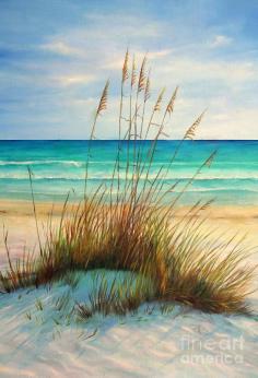 
                    
                        ~~Siesta Key Beach Dunes ~ Florida by Gabriela Valencia~~ Seriously can't believe it... My little hometown is famous♥
                    
                