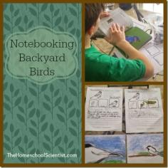 
                    
                        We love to watch the birds in our backyard. It seemed like the perfect notebooking project. Here are our favorite notebooking and bird study resources PLUS a notebooking page set giveaway!
                    
                