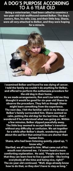 
                    
                        The family dog died of cancer. How the 6 year old responded blew me away!
                    
                