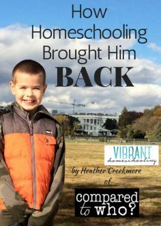 
                    
                        The day he didn't pull away--that was the day when I knew I had made the right decision about homeschooling.  It sounds silly to say that I had already lost my son at the age of seven. But, I believe it. Vibrant Homeschooling
                    
                