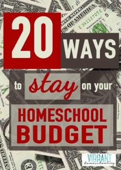 
                    
                        Great ideas here on how to stay on your homeschool budget. Tips for freebies, discounts and more! Vibrant Homeschooling
                    
                