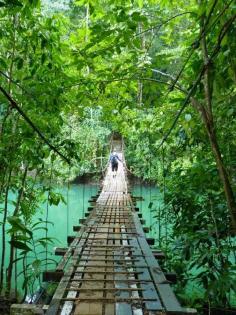 
                    
                        Footbridge near Drake's Bay on the Osa Peninsula - Costa Rica
                    
                