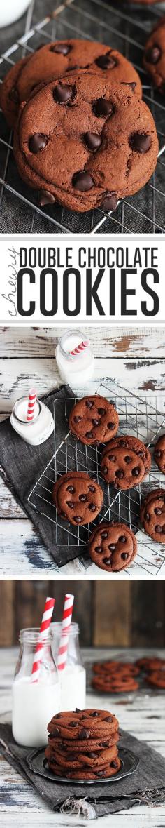 
                    
                        chocolate pudding cookies
                    
                