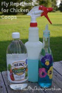 
                    
                        Simple Life, Simple Food... and Chickens -- Find simple old fashioned recipes, how to raise chickens, and more. DIY Fly Repellent for Coops
                    
                