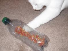 
                    
                        Genius! My cat needs the workout too! He would go crazy for this!Home-made Cat Treat Dispenser/Puzzle Toy
                    
                