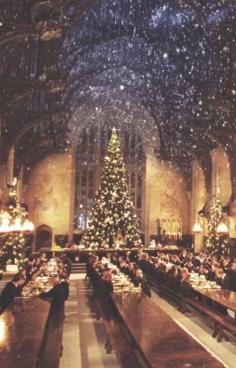 
                    
                        Hogwarts Christmas! I will never, ever NOT pin Christmas at Hogwarts!!!
                    
                