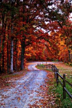 There's nothing better than to take an afternoon drive on a country road during fall color season. Wind in your hair and songs in the heart. Absolutely beautiful! Yearly tradition for my best friend and I!