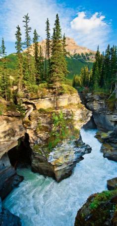 Glacial Canyon, Banff, Alberta, #Canada #outdoor #nature #forest outex.com