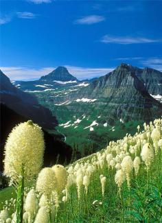 
                    
                        Glacier National Park,Montana,USA:
                    
                