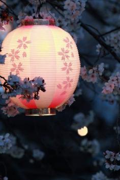 Lantern in blossom tree