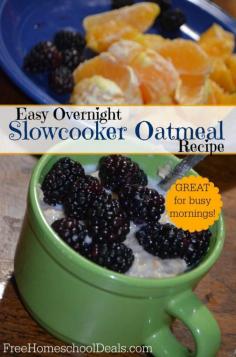 
                    
                        Easy Overnight Slowcooker Oatmeal Recipe - great for busy mornings!
                    
                