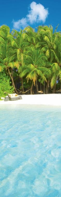 
                    
                        Baros Maldives Resort
                    
                