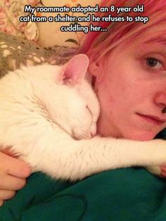 My roommate adopted an 8 year old cat from a shelter and he refuses to stop cuddling her  Click for more Funny Pictures --> http://www.funnypicshub.com