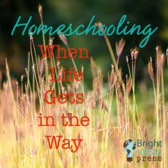 
                    
                        Homeschooling When Life Gets in the Way • Bright Ideas Press, Christian homeschool curriculum
                    
                