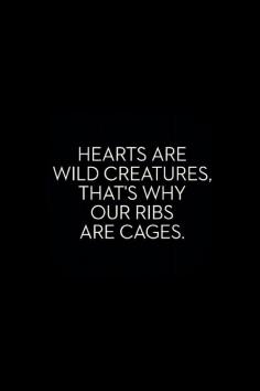 Wild hearts & rib cages