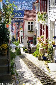 
                    
                        Bergen, Norway.  This was my favorite town when I visited Norway, Sweden  Denmark.  It's just so quaint  charming that you can't help but love it and the Norwegians in general.  ASPEN CREEK TRAVEL - karen@aspencreekt...
                    
                