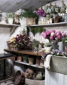 #Drying flowers ... in the potting shed #potting shed #potting bench #gardening