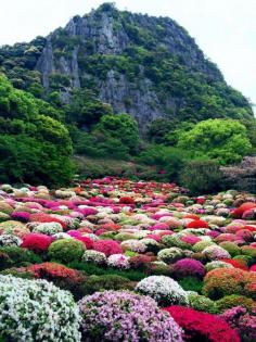 Japanese Garden in Mifuneyama, Saga, Japan 御船山