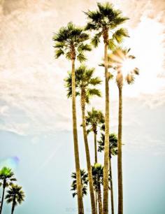 
                    
                        Summertime!  Looking forward to palm trees and beaches in the sunshine!  California love!
                    
                