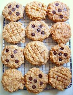 
                    
                        Breakfast cookies. High protein, no flour or processed sugar..(Ingredients: bananas, peanut butter, applesauce, vanilla, quick oatmeal, nuts, optional chocolate chips)-sorry if this is a repin but they look so good. Great for mid-morning/afternoon snacks too!
                    
                