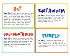Wild Kratts Fun Facts Birthday Treats