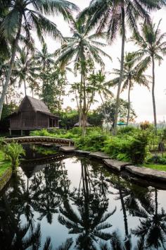 
                    
                        Bambu Indah, Ubud.
                    
                