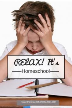 
                    
                        Relax! It's homeschool! Learn what homeschool is really about!
                    
                