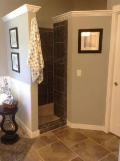 walk-in shower - great way to keep air circulation and not worry about cleaning a glass door or washing curtains: Master Bathroom