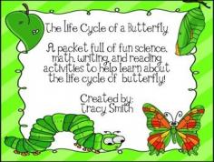 
                    
                        Nine different activities to teach your students all about the life cycle of a butterfly!  This packet comes with:Anchor Charts:Use the anchor charts to teach the different stages of the life cycle.  Caterpillars, Chrysalis, Butterfly  OH MY!:This fun book teaches all of the important facts of the life cycle of a butterfly.
                    
                