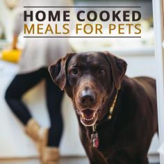 
                    
                        Do you cook meals for your pets at home?  We have some great ideas for you!  #skinnyms #pets #homemadepetfood
                    
                
