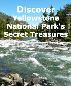 
                    
                        Travel Tips for Yellowstone National Park
                    
                