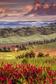 crete senesi in spring