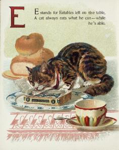 tea time for cats...