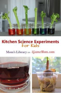 6 Kitchen science experiments using simple materials -Plus snoop on the site for apron patterns and homemade paint.