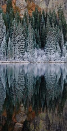 
                    
                        Bear Lake in Rocky Mountain National Park, Colorado. We're thankful to live in such a beautiful state.
                    
                