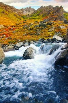 Savage River, Denali Alaska by Dhilung Kirat