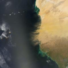 
                    
                        Dust wafts across the North African coast in this image taken by NASA's Terra satellite. The plumes originated from Senegal, Mauritania, and Gambia, and their thick brown appearance reveals they're headed for a journey across the Atlantic.
                    
                